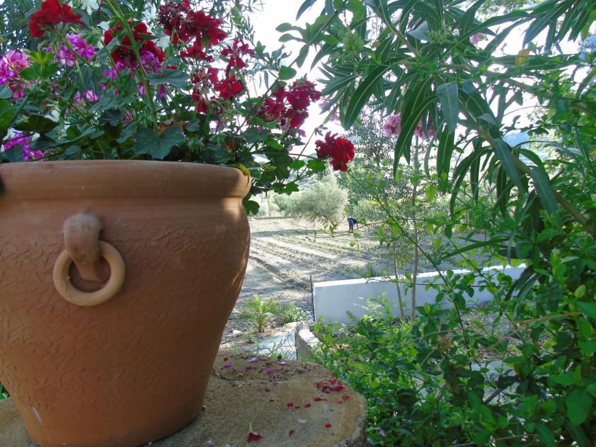 Casa El Molino Villa Montecorto Kültér fotó